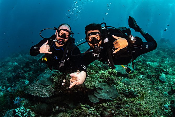 Open Water Course in Tulamben - Get Certified in Bali - Tulamben Beach and the coral-garden side of Bali