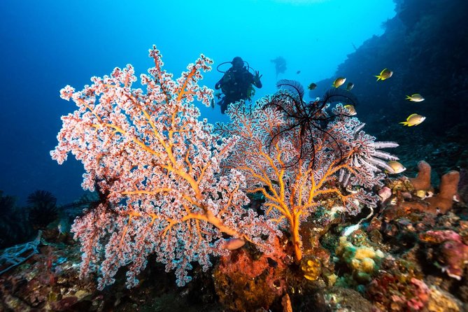 Open Water Course in Tulamben - Get Certified in Bali - Transfers and timing: how to plan your two days in Bali