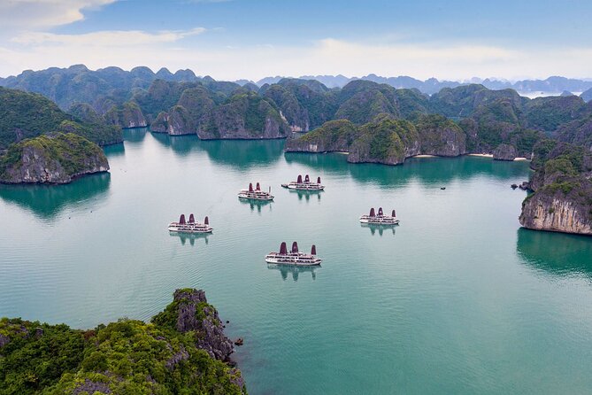 Orchid Trendy Cruises 2Days/1 Night 5 Star Cruises - Who should book Orchid Trendy, and who should think twice
