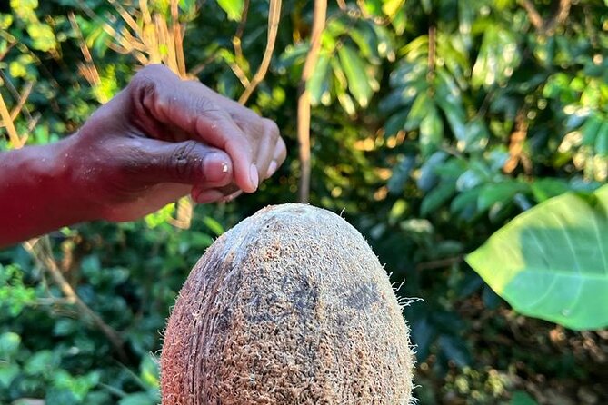 Organic cooking class sigiriya (kumara & family) - Getting There, What to Bring, and How to Plan Your Day