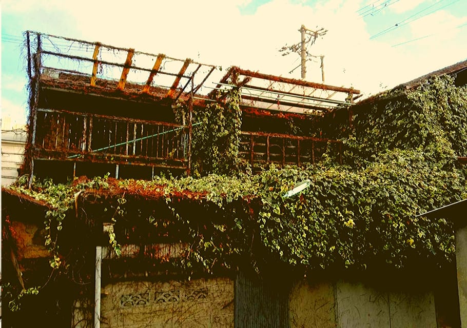 Osaka: Deep Backstreets Walking Tour with Dinner Option - The Abandoned-Buildings Area: History, Shock Value, and Why It Matters