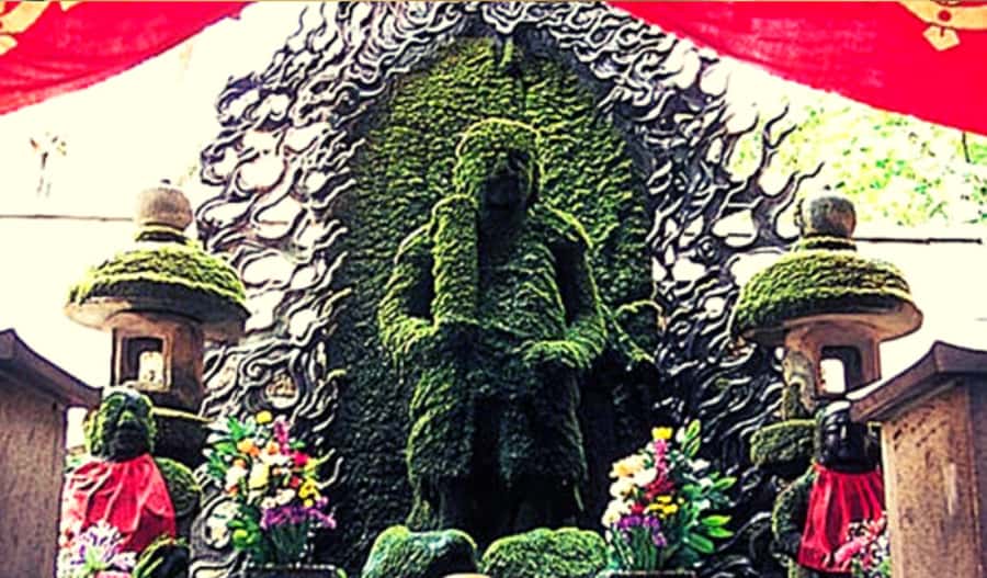 Osaka: Hotspots & Hidden Gems Walking Tour Private or Group - The hidden street maze: cobblestones, local haunts, and real stories
