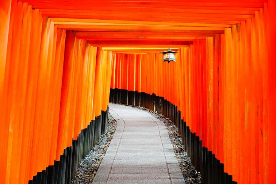 Osaka/Kyoto: Arashiyama, Nara & Fushimi Inari Shrine w/Lunch - Kyoto Wasabi lunch in a 100-year-old townhouse: the value part