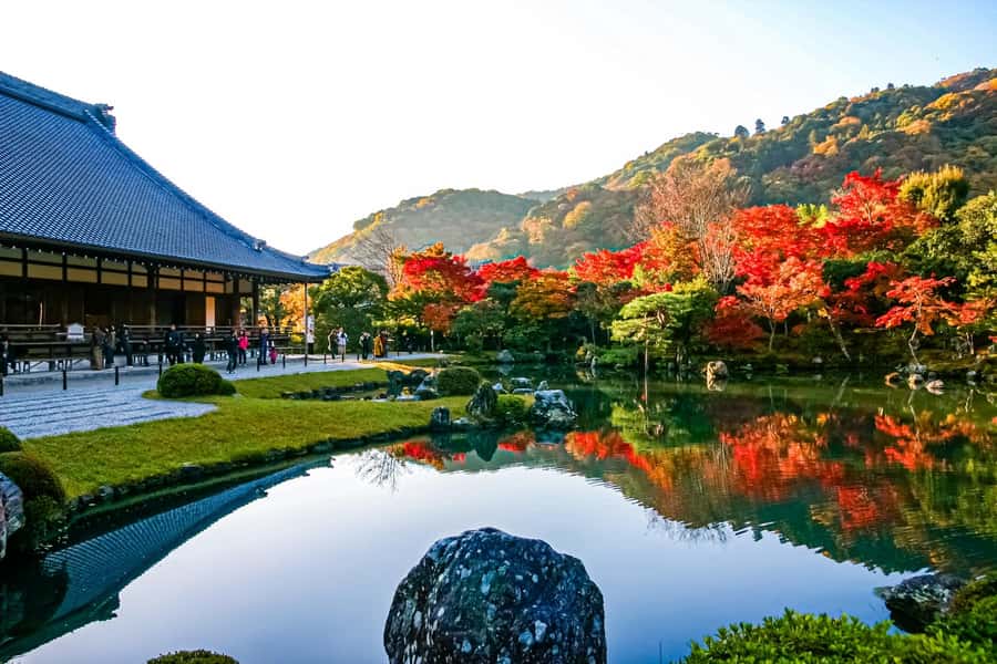 Osaka/Kyoto: Arashiyama, Nara & Fushimi Inari Shrine w/Lunch - Nara Park and Todai-ji: deer encounters with real rules