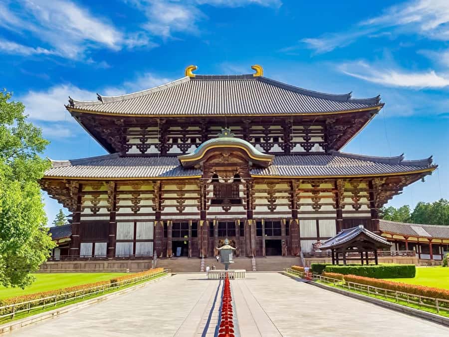 Osaka/Kyoto: Arashiyama, Nara & Fushimi Inari Shrine w/Lunch - Fushimi Inari Shrine: torii tunnel time management