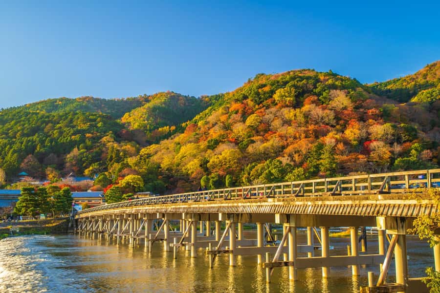 Osaka/Kyoto: Arashiyama, Nara & Fushimi Inari Shrine w/Lunch - How this tour earns its $61 price (and what costs extra)