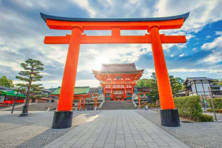 Osaka/Kyoto: Arashiyama, Nara & Fushimi Inari Shrine w/Lunch - Arashiyama Bamboo Forest: photo-friendly, but go with a plan