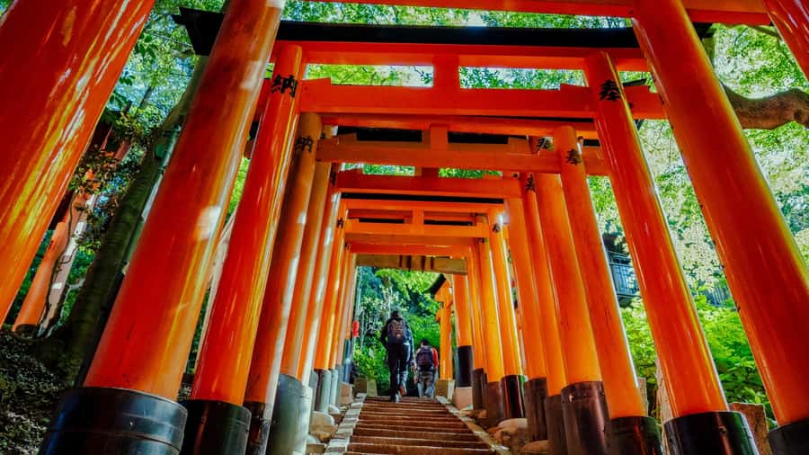 Osaka/Kyoto:Kinkakuji,Arashiyama,FushimiInariShrine,NaraPark - Key moments you’ll actually remember