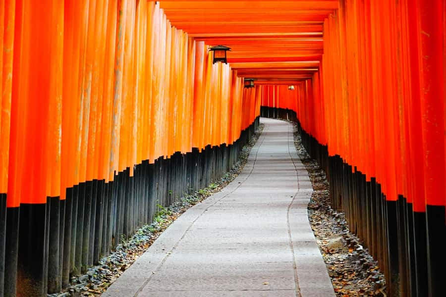 Osaka/Kyoto:Kinkakuji,Arashiyama,FushimiInariShrine,NaraPark - One day that saves you from Japan’s transit math