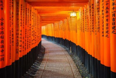 Osaka/Kyoto:Kinkakuji,Arashiyama,FushimiInariShrine,NaraPark - Nara Park deer + Todai-ji’s Great Buddha (a strong cultural one-two)