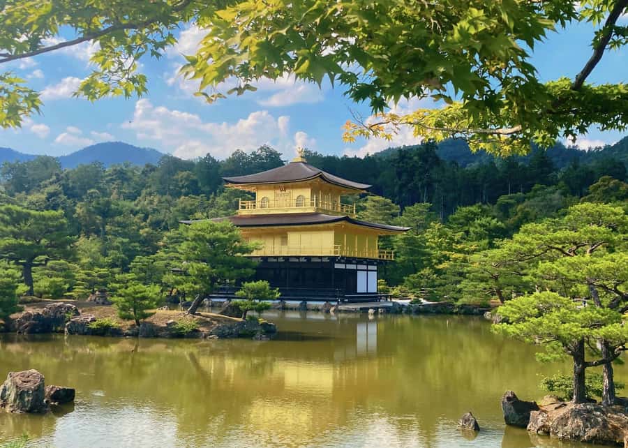 Osaka/Kyoto:Kinkakuji,Arashiyama,FushimiInariShrine,NaraPark - Price and what $66 really covers
