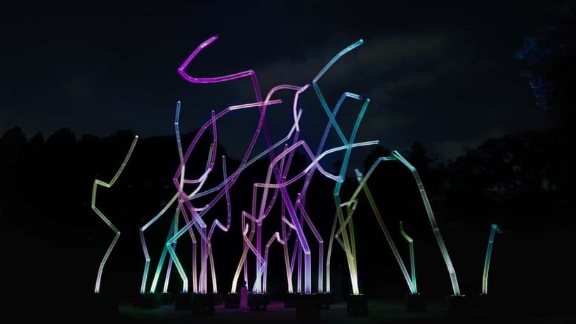Osaka: teamLab Botanical Garden Entry Ticket - Entering Nagai Botanical Garden: what the daytime part feels like