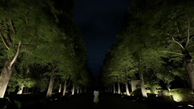 Osaka: teamLab Botanical Garden Entry Ticket - Price and value: why an $11 ticket can still feel like a steal