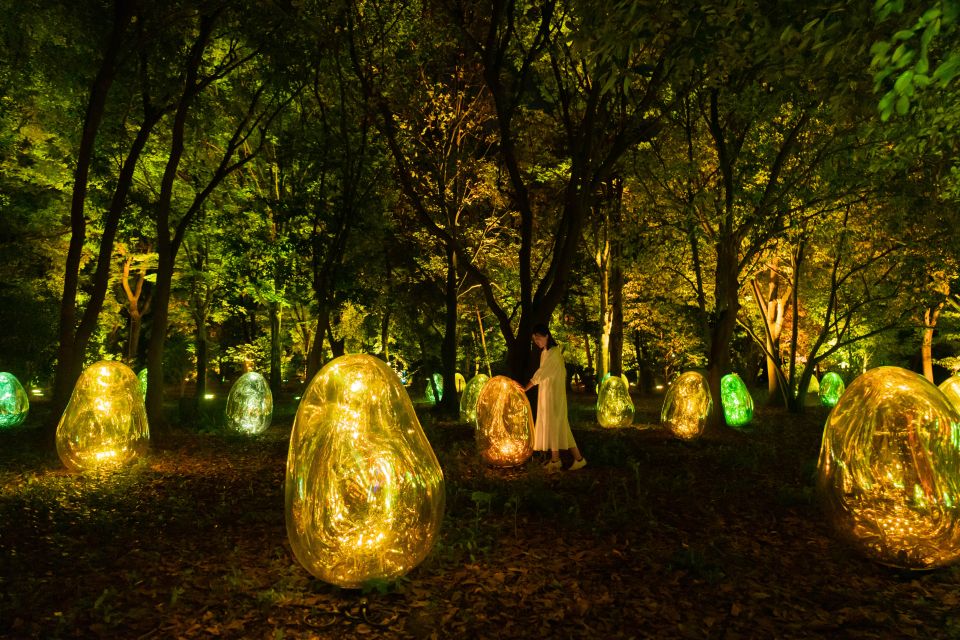 Osaka: teamLab Botanical Garden Entry Ticket - The teamLab approach: interactive light that plays nice with the garden