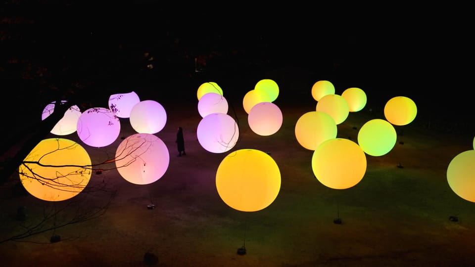 Osaka: teamLab Botanical Garden Entry Ticket - Timing tips that make the difference between good and great