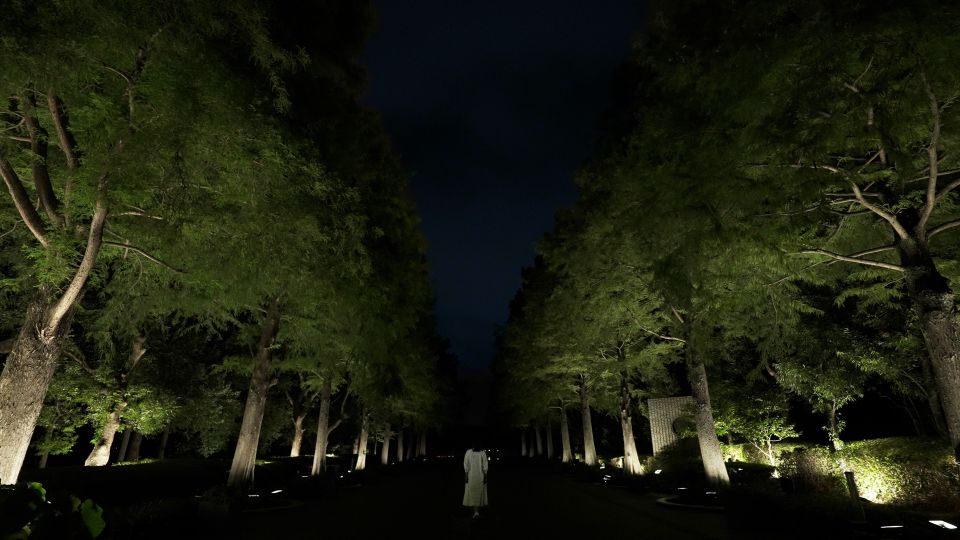Osaka: teamLab Botanical Garden Entry Ticket - Price and value: why an $11 ticket can still feel like a steal