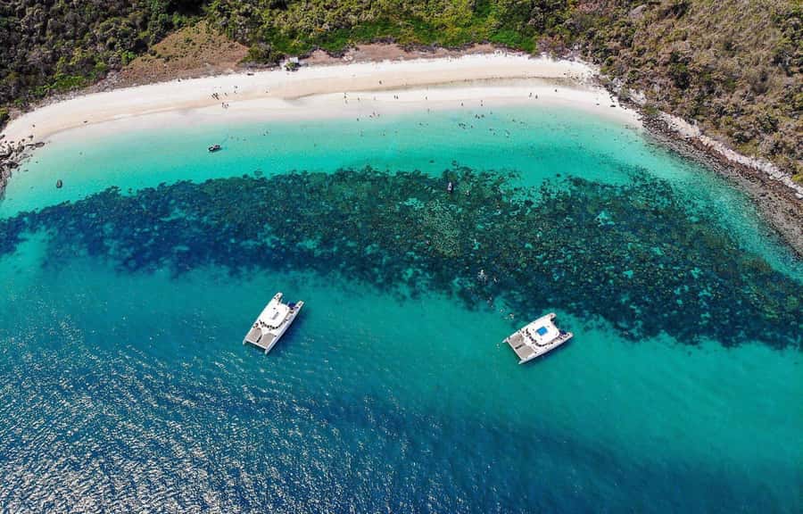 Pattaya: 3 Islands Day Tour on Catamaran with Buffet Lunch - Why the 71-Foot Catamaran Makes This Pattaya Day Feel Premium