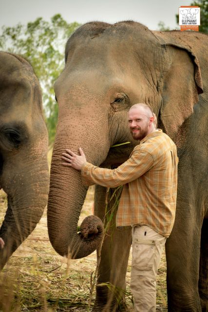 Pattaya: Elephant Jungle Sanctuary Half-Day Tour with Meal - Hand-Feeding: Building Trust One Tasty Moment at a Time