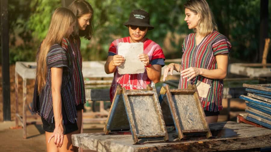 Pattaya: Elephant Jungle Sanctuary Half-Day Tour with Meal - Elephant Care and Ethics: What You’re Really Paying For