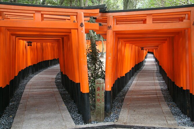PERFECT KYOTO 1-Day Bus Tour - Why this Kyoto highlight loop works in one day