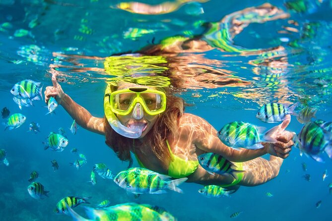 Phi Phi & Bamboo Islands Snorkeling Tour with Lunch by Speedboat - Maya Bay and Pileh Bay: Swim Time Plus the Crowd Reality