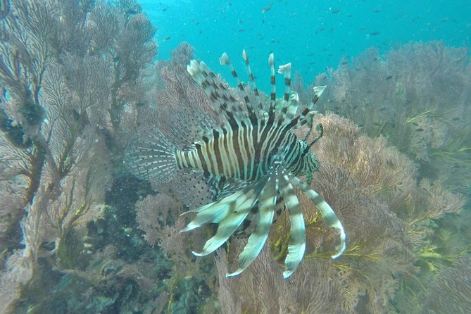 Phi Phi Early Bird & 4 Islands - Day Tour by Speedboat From Krabi - Maya Bay: the rules are real, and the photos are worth it