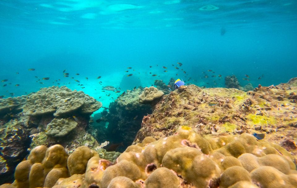 Phi Phi: Morning Speedboat Tour to Maya Bay with Snorkel - Maya Bay in the morning: exactly how to use your 1 hour