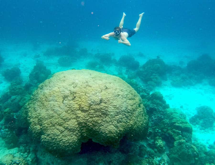 Phi Phi: Private Longtail Boat to Maya Bay with Snorkeling - Sunset ride and bioluminescent plankton: the reason to consider an afternoon slot