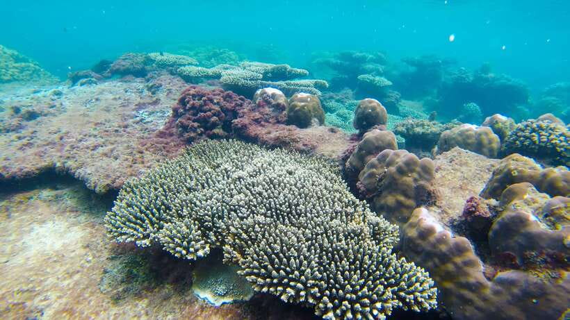 Phu Quoc: 3 Island Tour by Boat with Guide - What to pack: small items that make a big difference