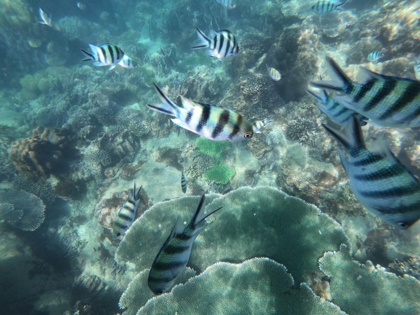 Phu Quoc: Speedboat Tour of 4 Islands with Snorkeling & BBQ - Weather, sea conditions, and how flexibility affects the day