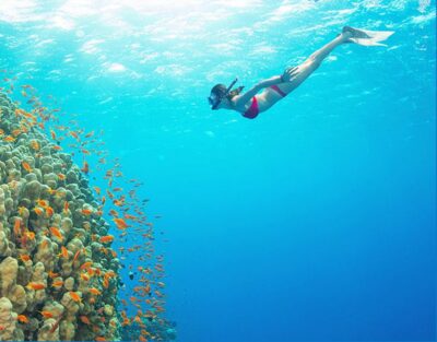 Phu Quoc: Speedboat Tour of 4 Islands with Snorkeling & BBQ - Price and value: what $56 really covers