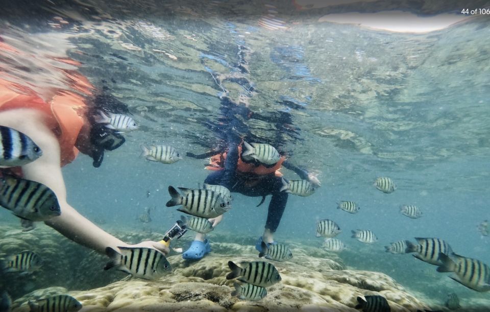 Phu Quoc: Speedboat Tour of 4 Islands with Snorkeling & BBQ - Stop 2: May Rut Ngoai (or Gham Ghi) for beach time and swimming
