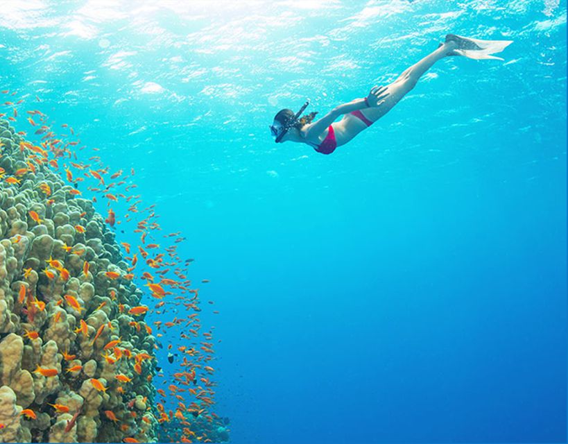 Phu Quoc: Speedboat Tour of 4 Islands with Snorkeling & BBQ - Price and value: what $56 really covers