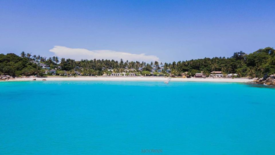 Phuket: Coral & Racha Islands Day Trip By Speedboat - Who should book this Coral and Racha speedboat day trip?