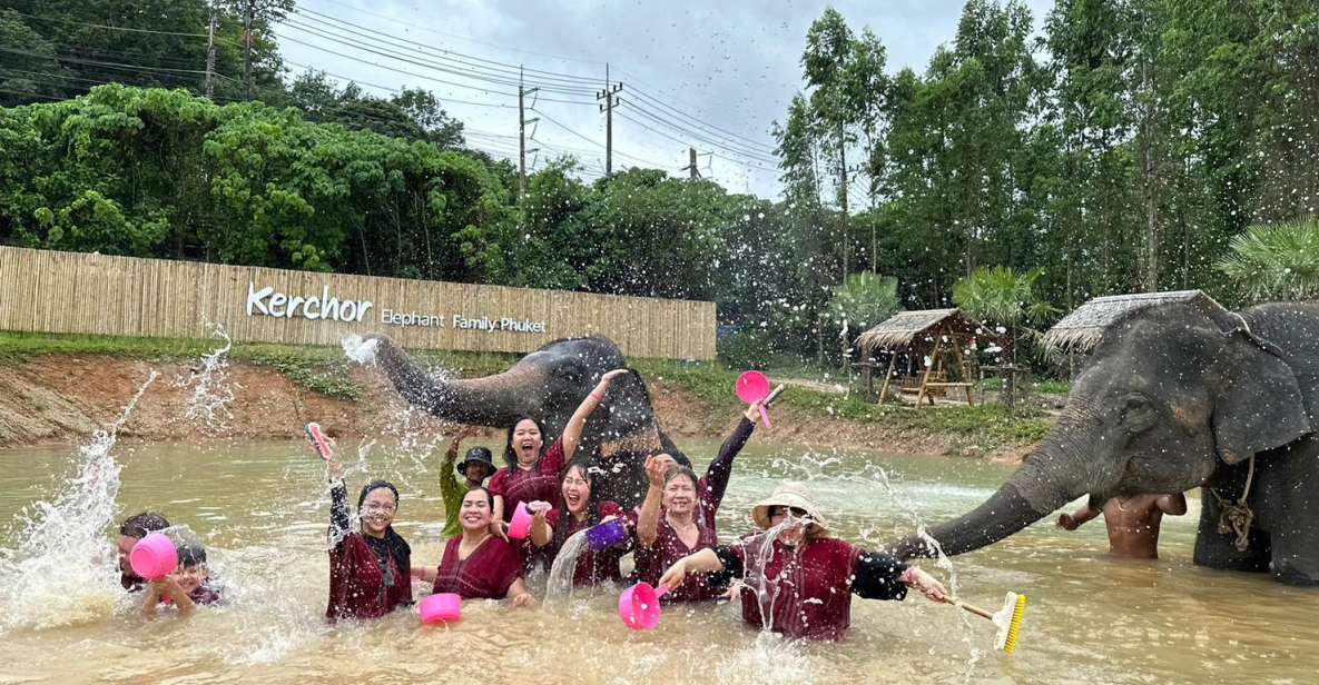 Phuket: Elephant Experience with Lunch or Dinner and Pickup - From Phuket Pickup to Kerchor Elephant Family Park: Your 1-Hour Ride and Arrival Flow