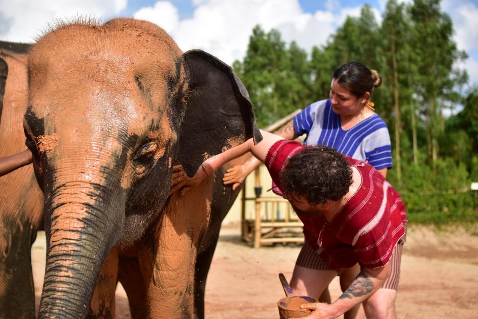 Phuket: Elephant Experience with Lunch or Dinner and Pickup - Thai Buffet Lunch or Dinner + Digital Photos You Can Actually Use