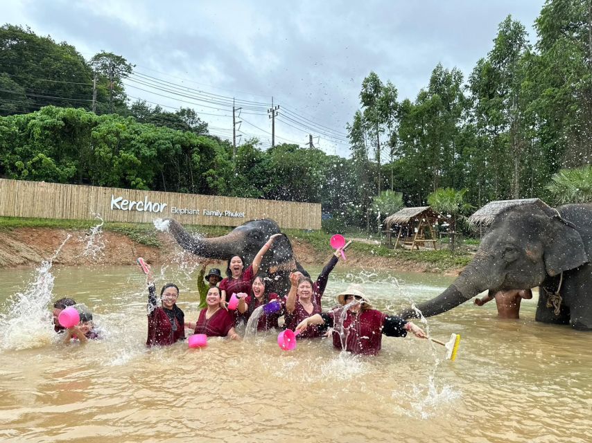 Phuket: Elephant Experience with Lunch or Dinner and Pickup - Price and Value: What You Get for About $67 Per Person