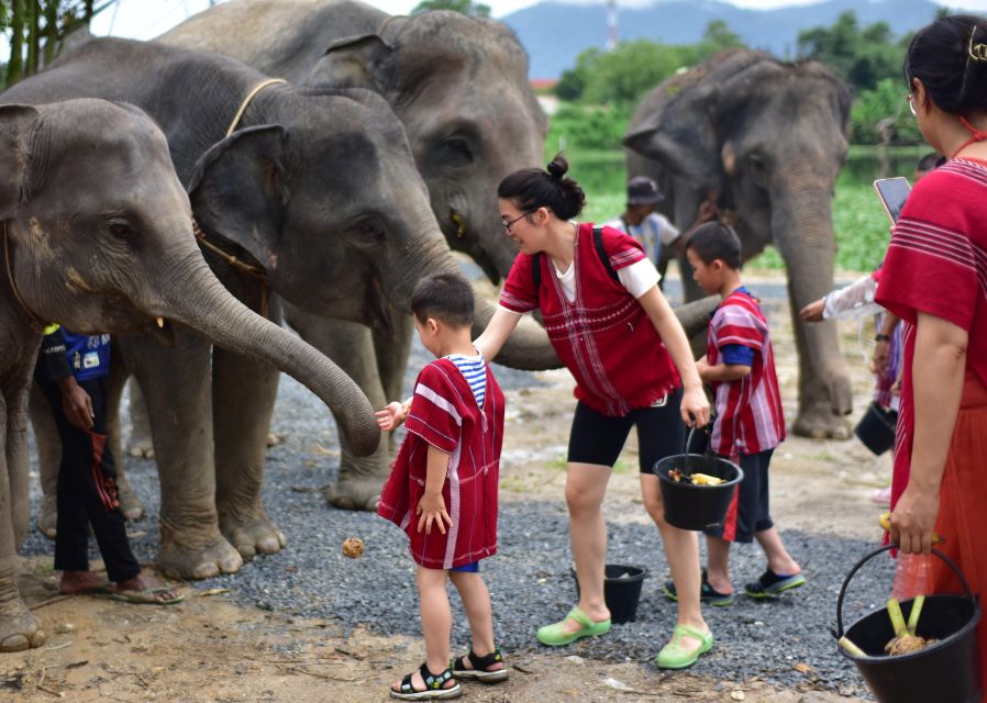 Phuket: Elephant Experience with Lunch or Dinner and Pickup - What to Bring (and What to Avoid) So the Day Goes Smooth