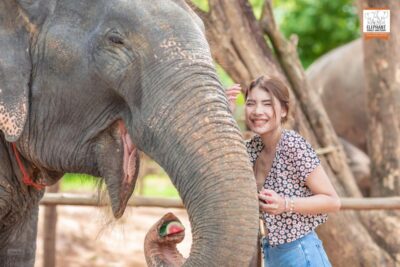 Phuket: Elephant Jungle Sanctuary Ethical Feeding Experience - Meet at Elephant Jungle Cafe: The First Moment Sets the Tone