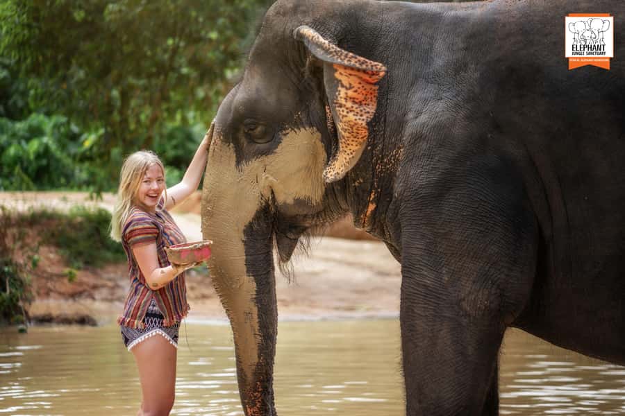 Phuket: Elephant Jungle Sanctuary Half-Day Visit with Meal - Getting There From Phuket: Hotel Pickup That Keeps the Day Easy