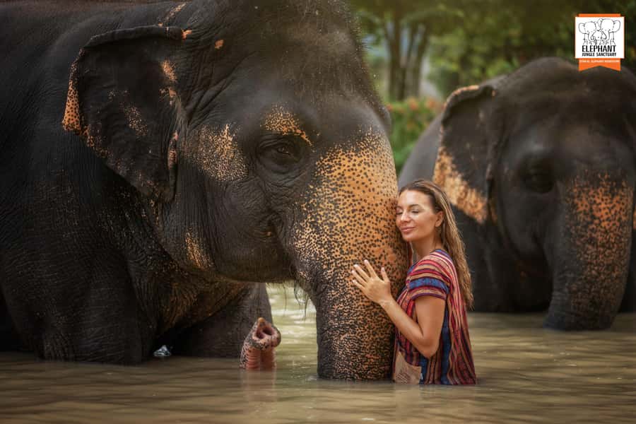 Phuket: Elephant Jungle Sanctuary Half-Day Visit with Meal - The Mud Spa: Why This Part Feels Like Animal Care
