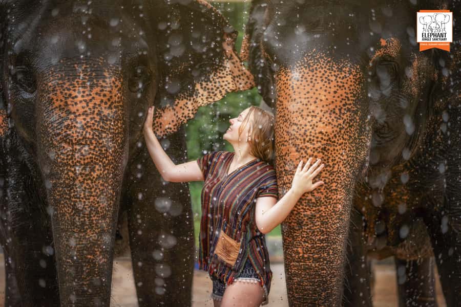 Phuket: Elephant Jungle Sanctuary Half-Day Visit with Meal - Pool Bathing and Water Play: The Fun Part, With Rules