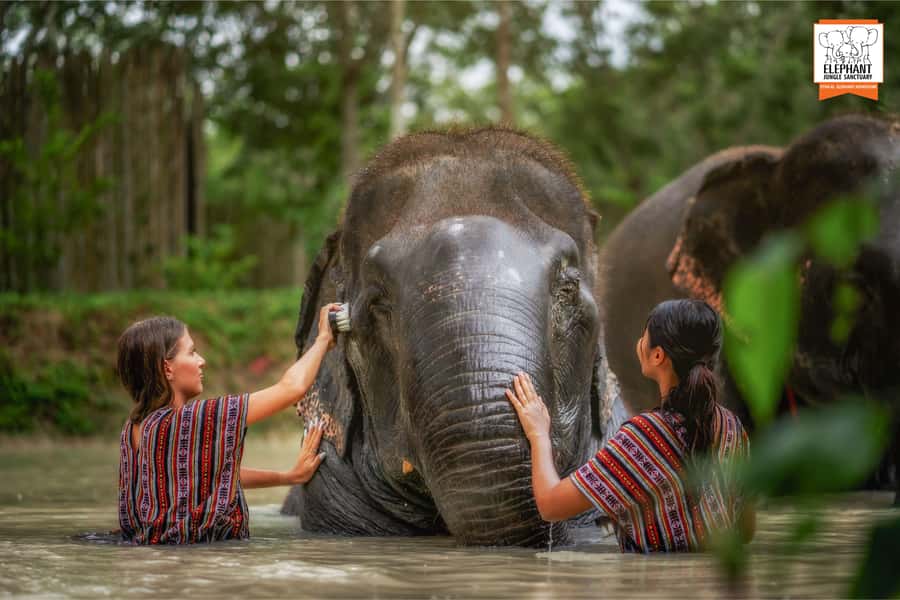 Phuket: Elephant Jungle Sanctuary Half-Day Visit with Meal - Tips to Prepare: What to Pack and How to Behave