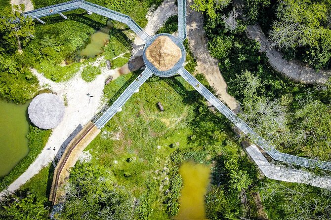 Phuket Elephant Sanctuary Canopy Walkway Tour - Canopy walkway logistics: views are good, but know the limits