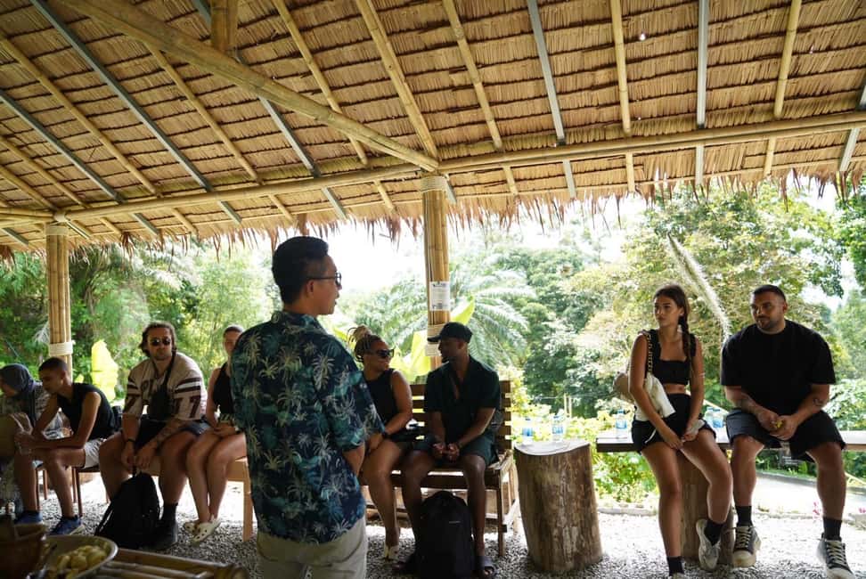 Phuket: Elephant Sanctuary Guided Tour with Hotel Transfers - Your One-Hour Sanctuary Visit in Phuket (What the Time Really Means)
