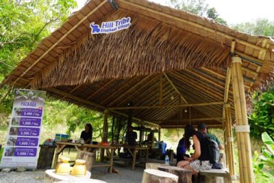 Phuket: Elephant Sanctuary Guided Tour with Hotel Transfers - Hotel Pickup and Drop-Off: The Convenience You’re Paying For