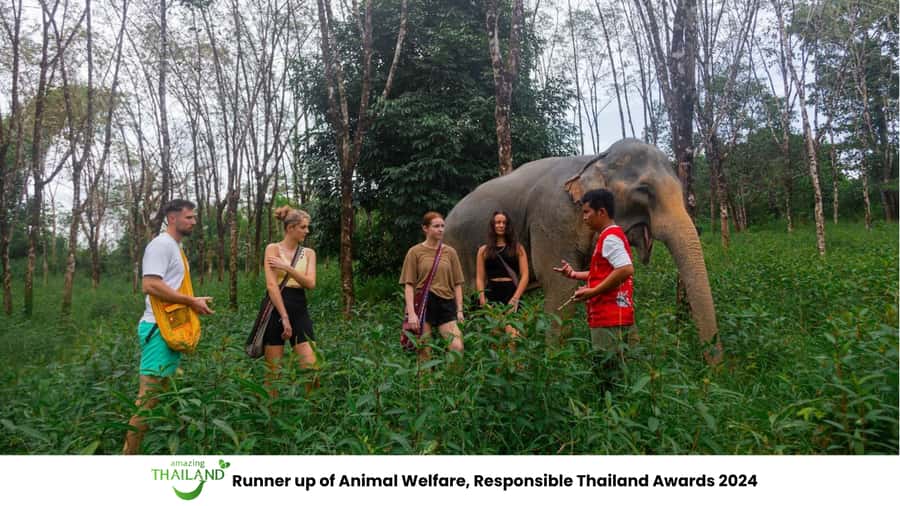 Phuket: Elephant Sanctuary Tour, Cooking Class & Lunch - Key moments that make this tour worth your time