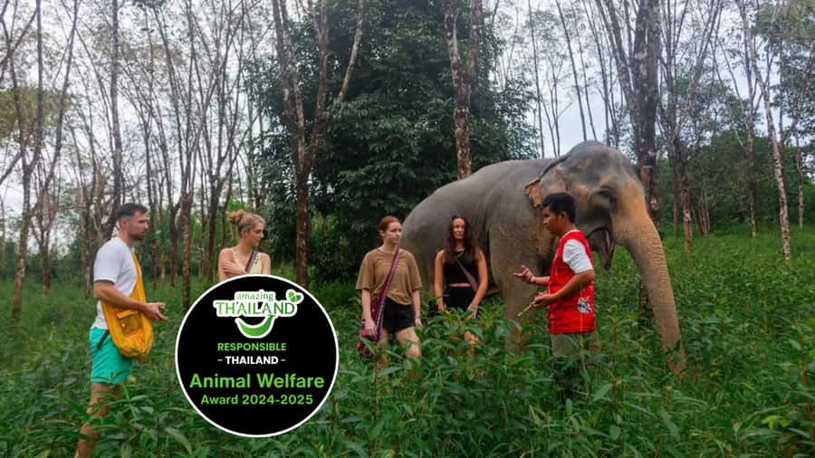 Phuket: Elephant Sanctuary Tour, Cooking Class & Lunch - The Phuket-to-Khao Lak drive: when 2 hours feels long (and why it’s still worth it)