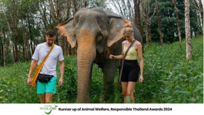 Phuket: Elephant Sanctuary Tour, Cooking Class & Lunch - Why Khao Lak’s elephant sanctuary feels different from the usual “elephant day”