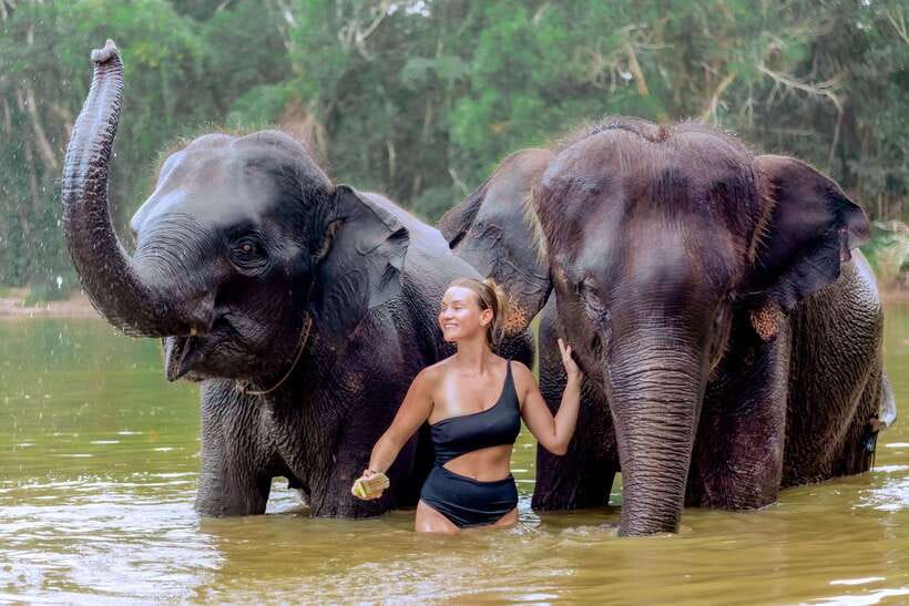 Phuket: Elephant Sanctuary Tour with Pickup & Optional Lunch - Price and value: is $40 a good deal in Phuket?